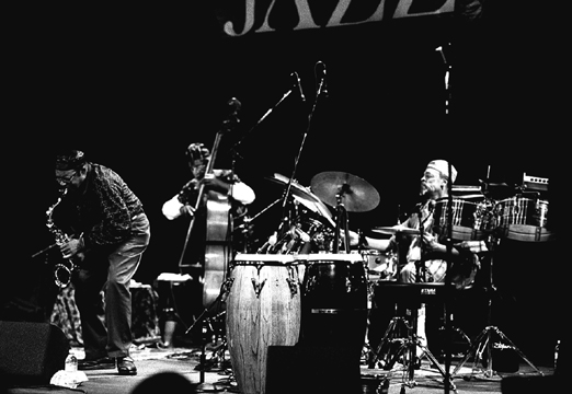 Please don't copy this photograph without permission.