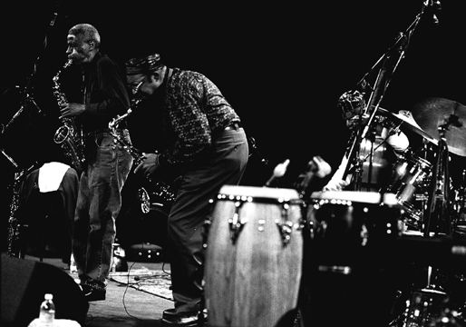 Please don't copy this photograph without permission.